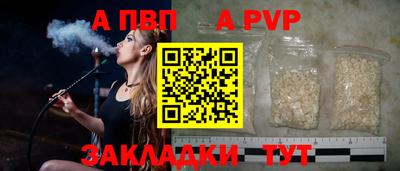 спиды Кингисепп