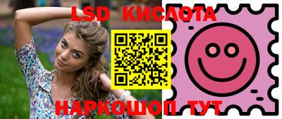 ПСИЛОЦИБИНОВЫЕ ГРИБЫ Кимры