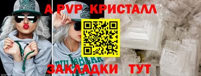 спиды Кингисепп