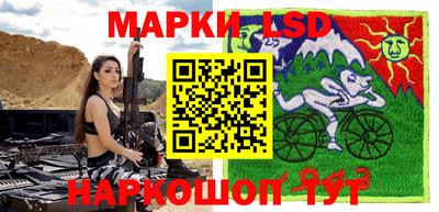 спиды Кингисепп
