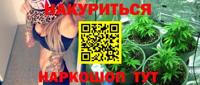 спиды Кингисепп
