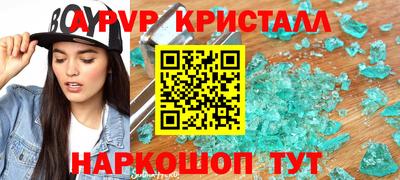 спиды Кингисепп